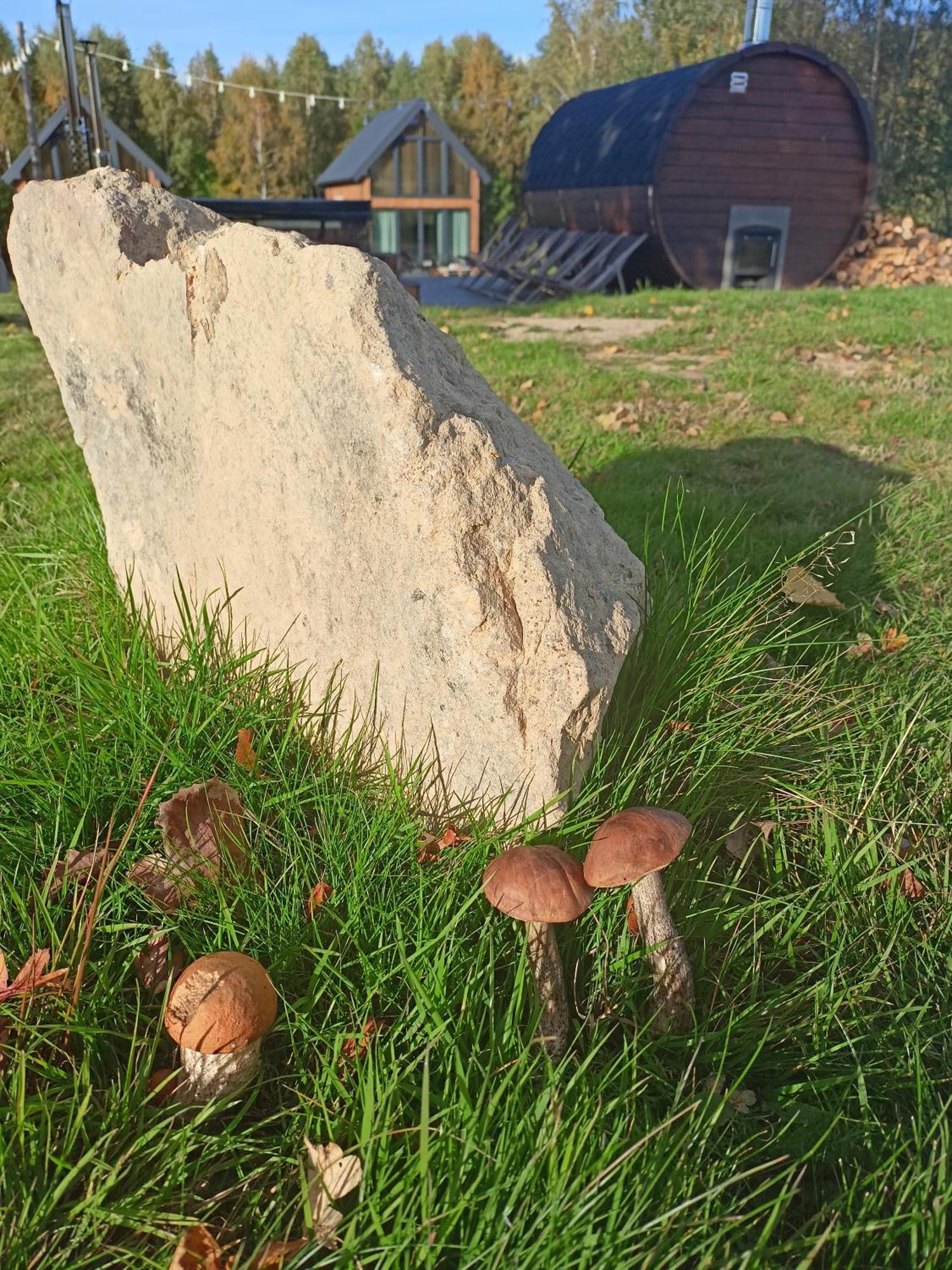 Vila Grudza Barn House Pokoj fotografie